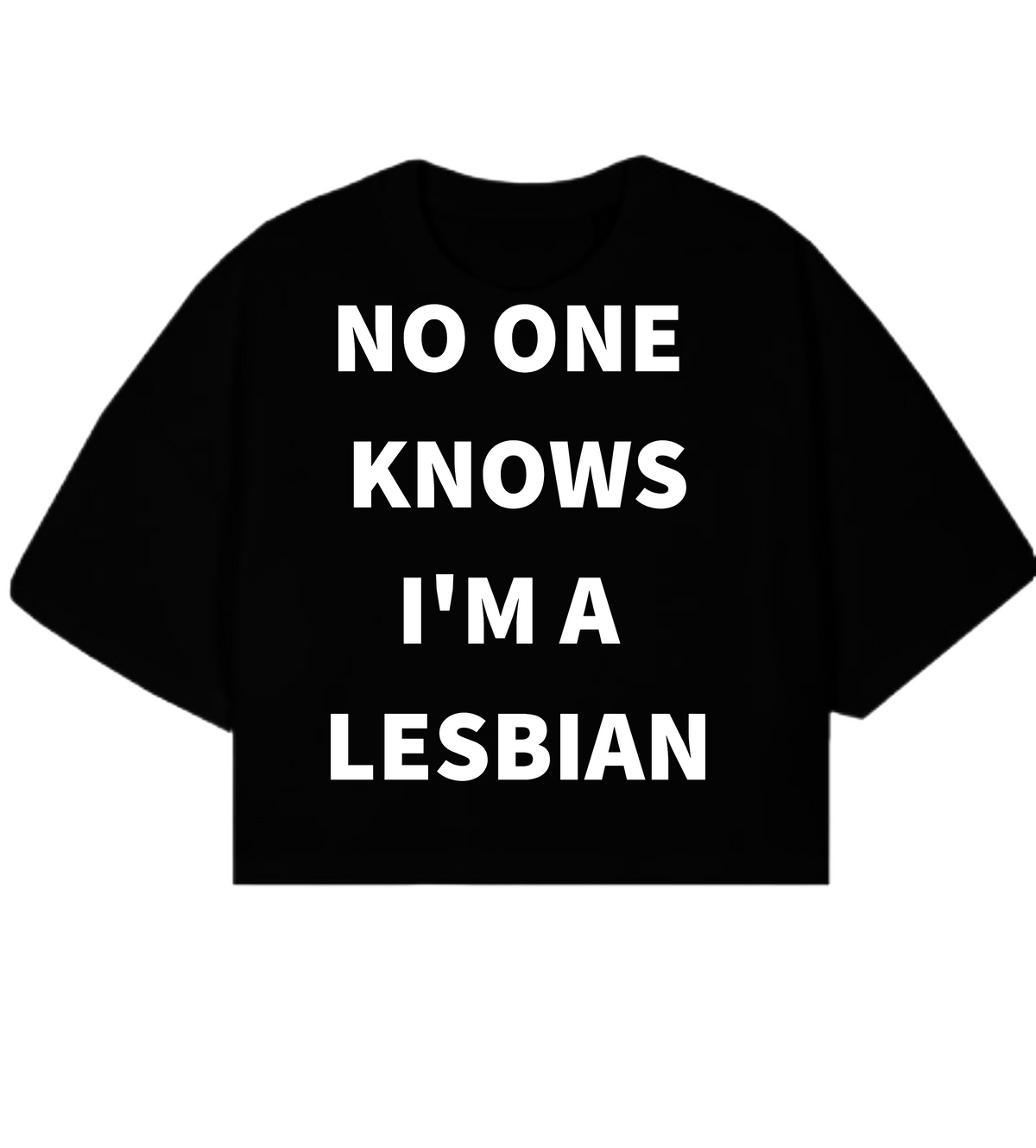 No One Knows I'm A Lesbian boxy cropped Tshirt