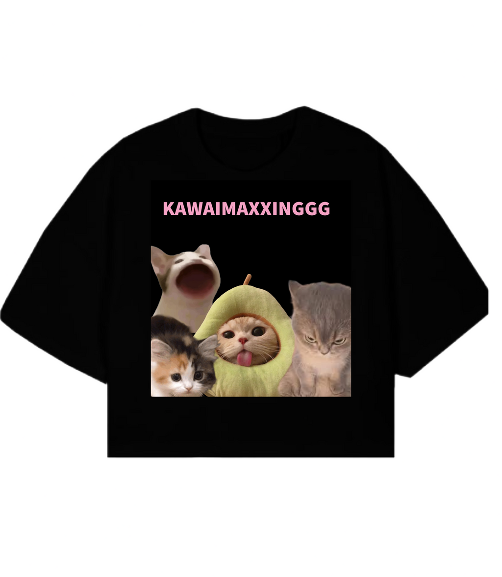 KAWAIMAXXING boxy cropped Tshirt